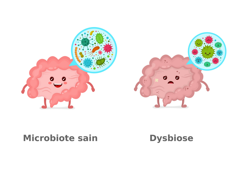 microbiote
