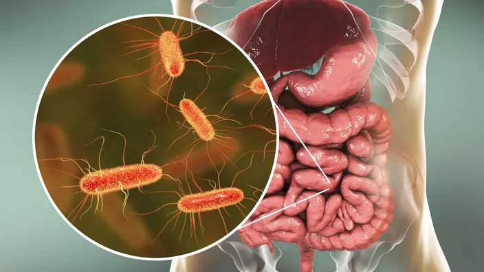 microbiote